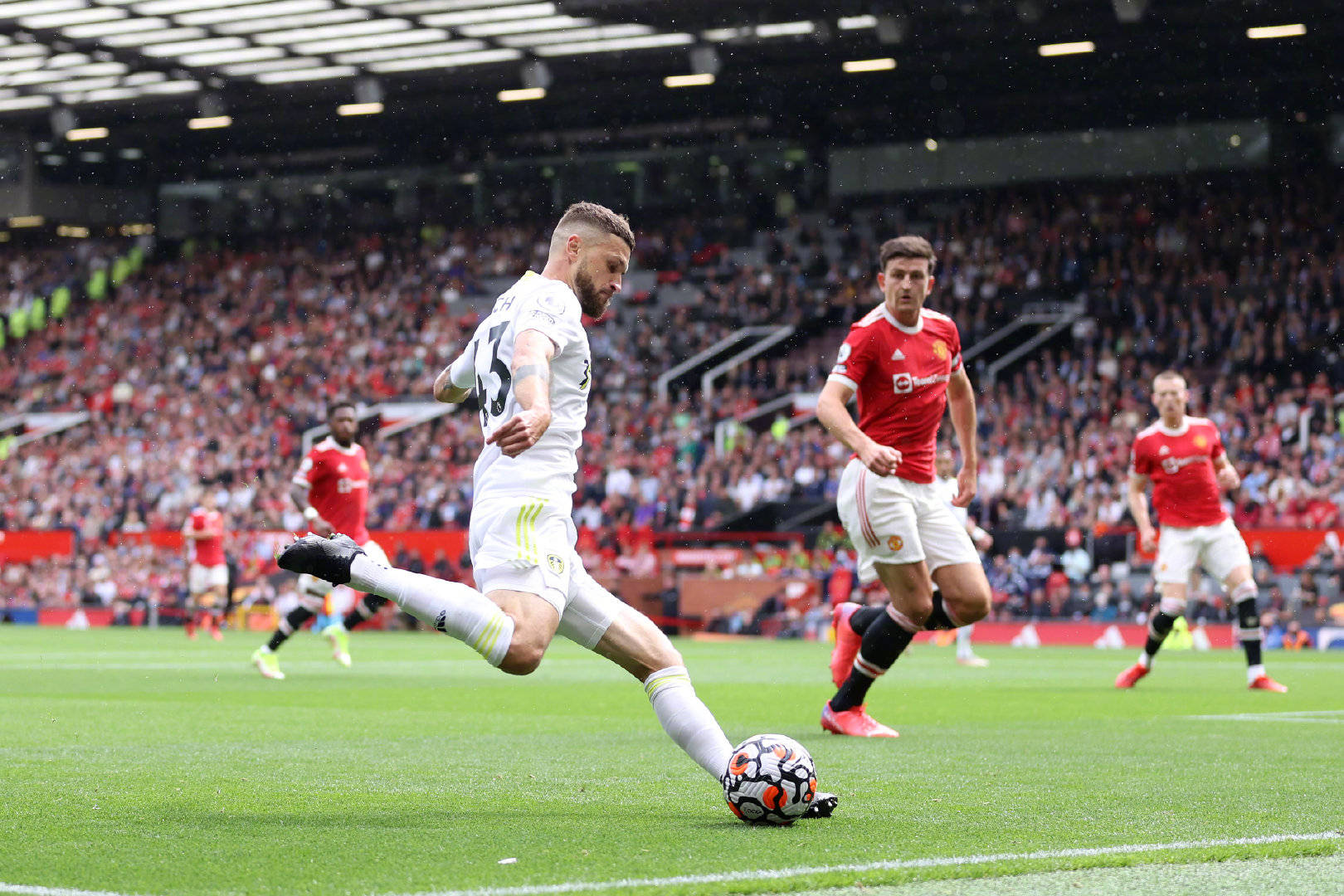 帕尔默作为 帕尔默作为